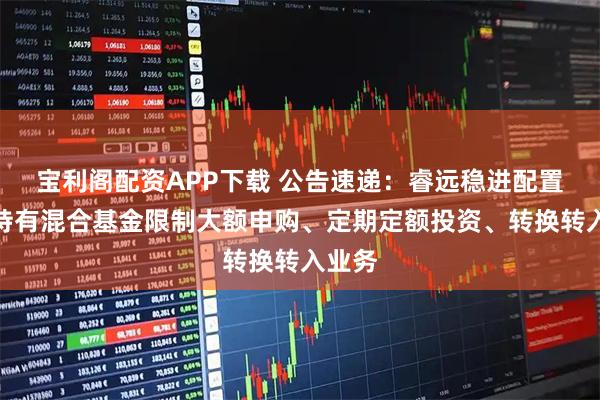宝利阁配资APP下载 公告速递：睿远稳进配置两年持有混合基金限制大额申购、定期定额投资、转换转入业务