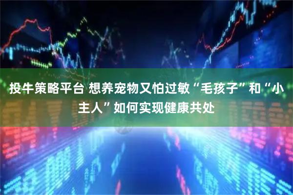投牛策略平台 想养宠物又怕过敏“毛孩子”和“小主人”如何实现健康共处