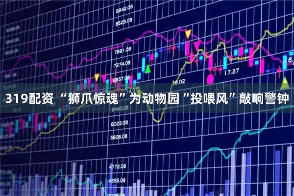 319配资 “狮爪惊魂”为动物园“投喂风”敲响警钟
